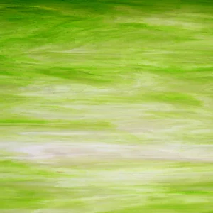 WISSMACH 57 WO - GRAS-GRÜN WISPY