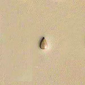 BULINO PEAR SHADER - P233