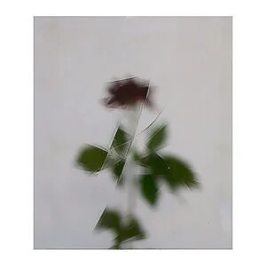 VETRO SCHOTT ARTISTA 0189 - TRASPARENTE