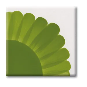 Verde Foglia