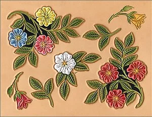 CRAFTAID ROSA DEL DESERTO