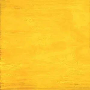 SPECTRUM 367-1S-F - GIALLO/BIANCO