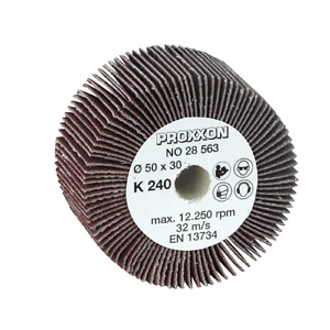 ROULEAU À LAMELLES POUR WAS/E ET WAS/A Ø 50 X 30 MM GR. 240 - 2 UDS