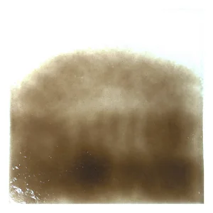 Marrone Bronzo Trasparente