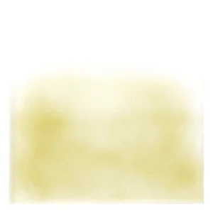 Marrone Oro Trasparente