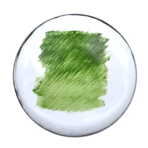 Verte Feuille
