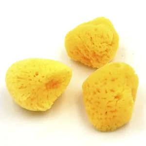 NATURSCHWAMM
