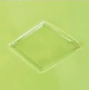 Vert tilleul