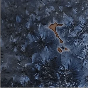F652 - 
Moss Agate