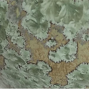 F655 - 
Tremolite