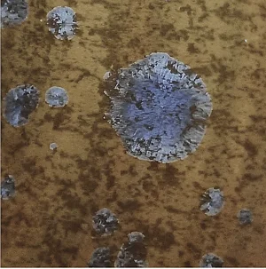 F660 - 
Siderite
