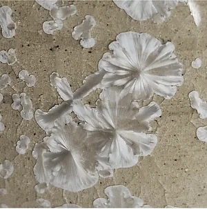 F661 - 
Calcite