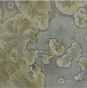 F666 - 
Gold Quartz