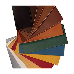 LEATHER PROFESSIONAL WATERSTAIN